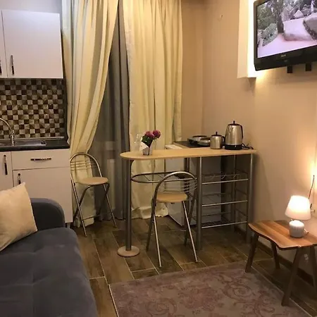 Arya One Bedroom Comfortable Flat In Cihangir Apartment