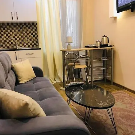 Arya One Bedroom Comfortable Flat In Cihangir *
