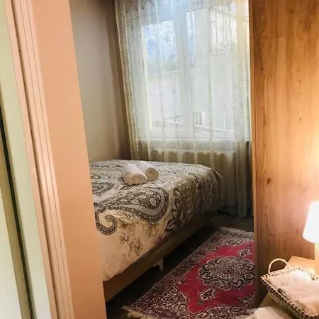 Arya One Bedroom Comfortable Flat In Cihangir Apartment