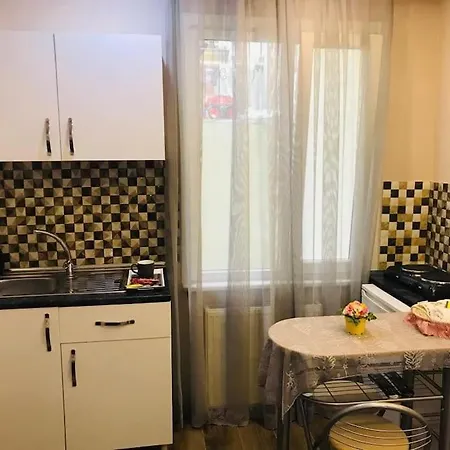 Arya One Bedroom Comfortable Flat In Cihangir 아파트 이스탄불